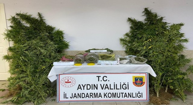 Aydında uyuşturucu ile mücadelede bir haftada 2 kişi tutuklandı
