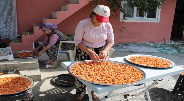 Aydının mutfakları kışa hazırlanıyor