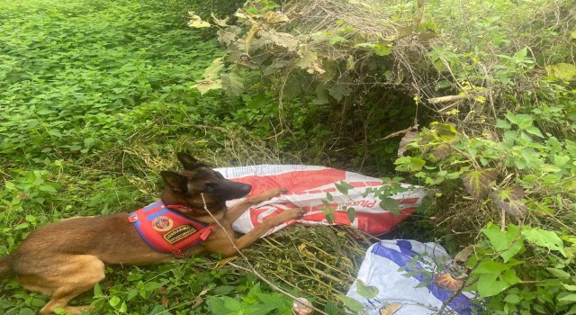 Bahçede kavanozlara saklanan uyuşturucu ‘Yatkından kaçmadı