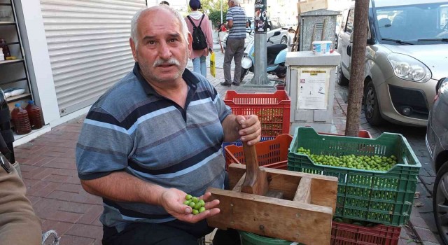 Balıkesirde kırma zeytin yapımına başlandı