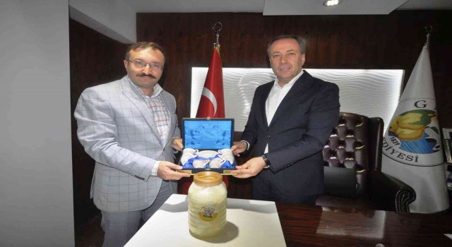 Başkan Doğan, Geyvede incelemelerde bulundu