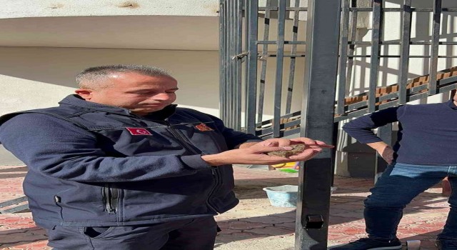 Batmanda demir profile sıkışan minik serçeyi itfaiye ekipleri kurtardı