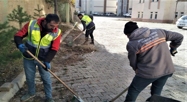 Bayburtta sonbahar temizliği