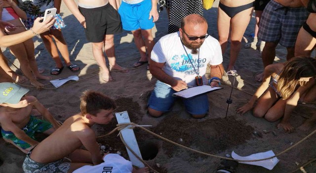 Belekte yaklaşık bin 600 deniz kaplumbağası yuvasından çıkan 60 binin üzerinde yavru denizle buluştu
