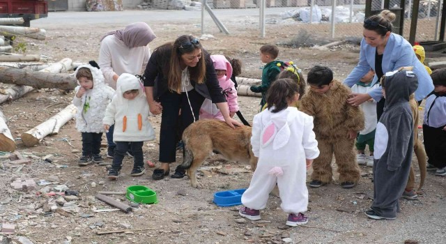 Beslenme noktalarındaki hayvanlara mama bıraktılar