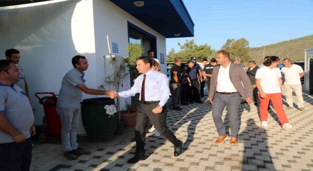 Bodrum Belediyesinden sokak hayvanları için mama üretimi