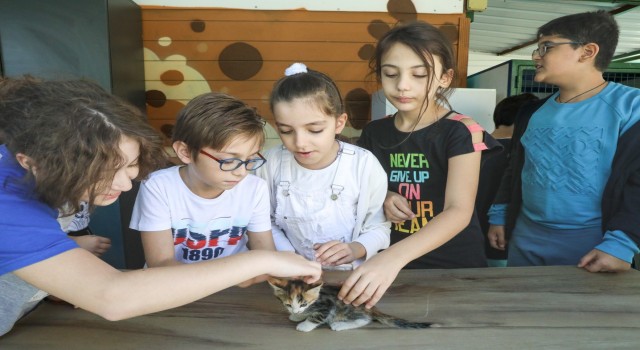 Bucalı miniklere hayvan sevgisi aşıladılar