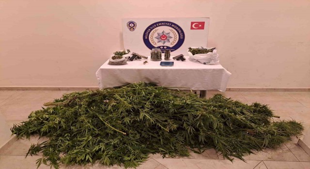 Bursada kenevir tarlasına dönen eve baskın