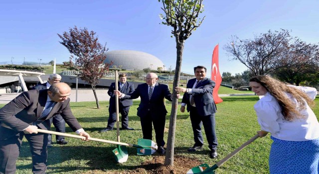 Bursanın erguvanları Almanyada kök salacak