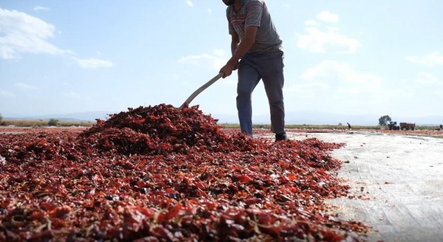 Bursanın toz biberi dünya mutfağında