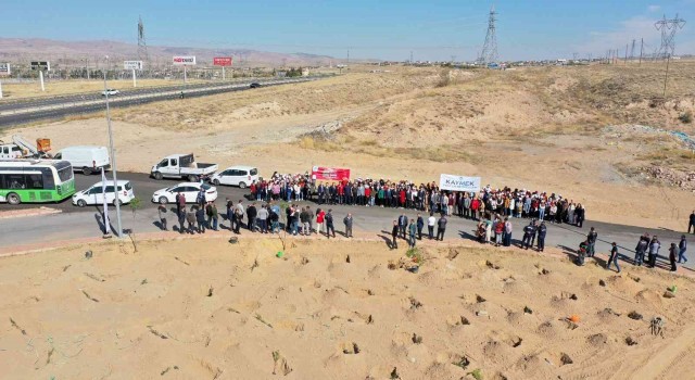 Büyükşehirden şehitler anısına 251 fidan