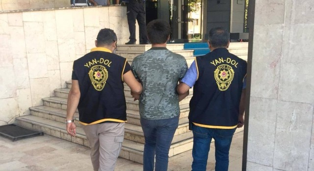 Çatı faresi yakalandı