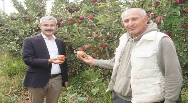 Çivril elması Cumhurbaşkanı Erdoğana hediye edildi