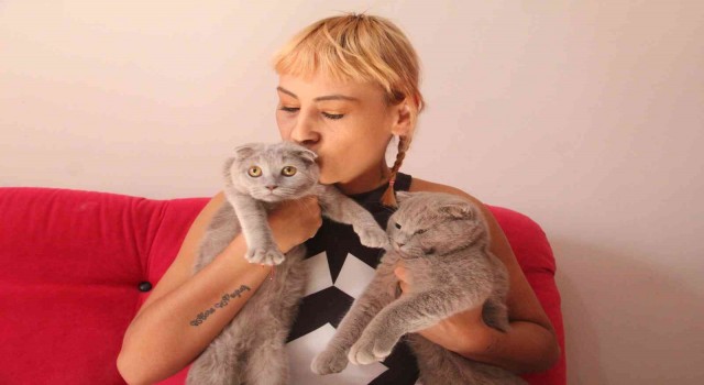 Dekolteli kedi hırsızlarına verilen ceza, ev sahibini şok etti