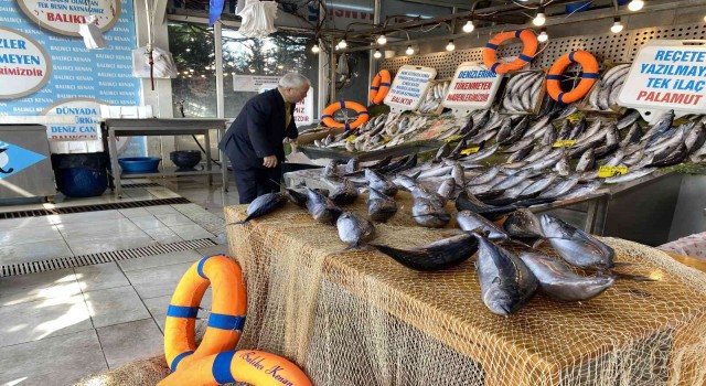 Denizlerde en çok Omega 3ün bulunduğu palamutta bolluk