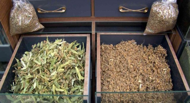 Derde deva ıhlamur 400 TLye satılıyor