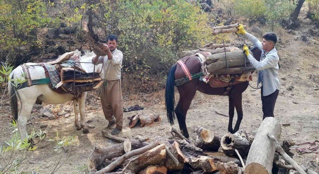Derecikte kışlık odun toplama telaşı