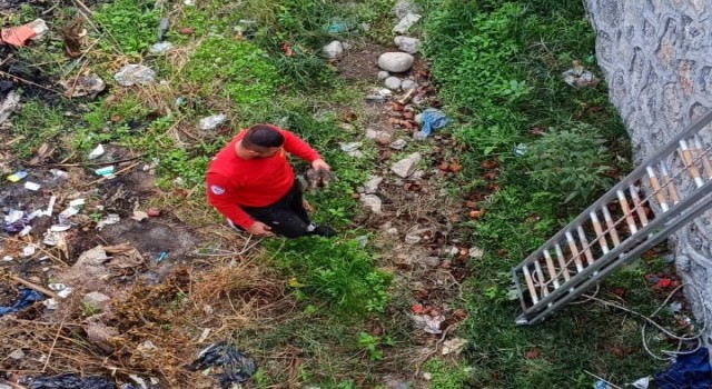 Derede mahsur kalan yavru kediyi itfaiye kurtardı