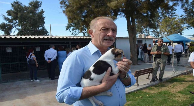 Didim Belediyesinden sokak hayvanlarına yönelik yeni bir adım atıldı
