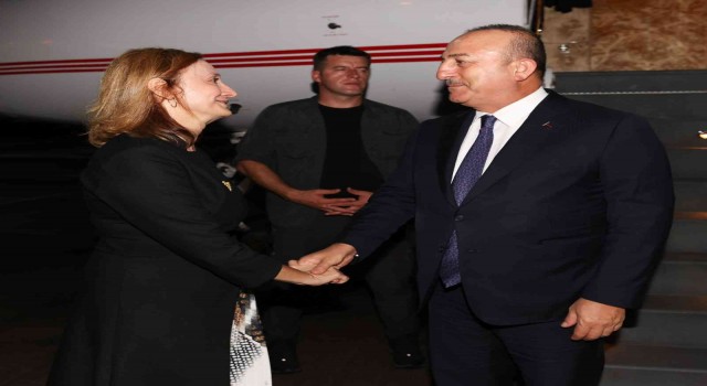 Dışişleri Bakanı Çavuşoğlu, Ganada