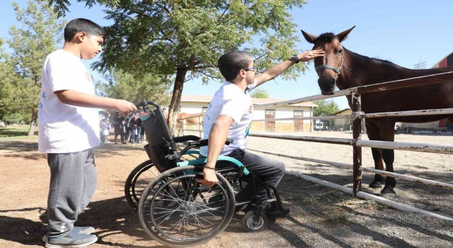 Diyarbakırda engellilere verilen at ile terapi hizmeti yeniden başladı
