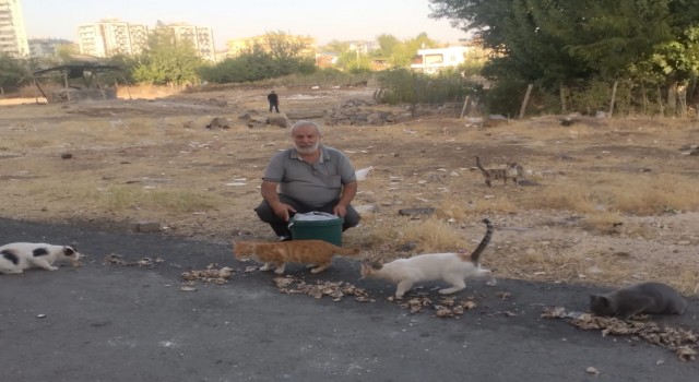 Diyarbakırın Derman Babası sokak hayvanlarını unutmadı