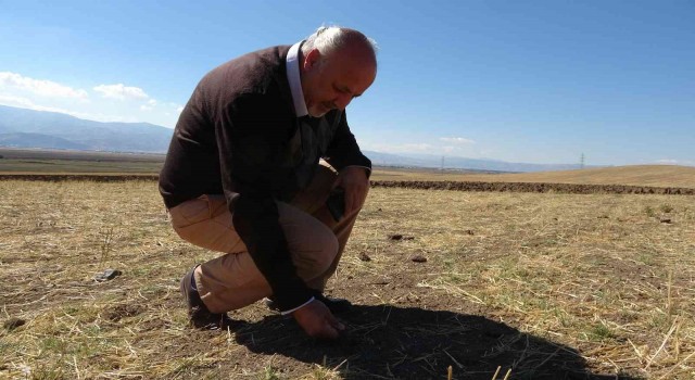 Dr. Dölek, Muşun 2012den 2050 yılına uzanan sıcaklık ve yağış trendlerini analiz etti