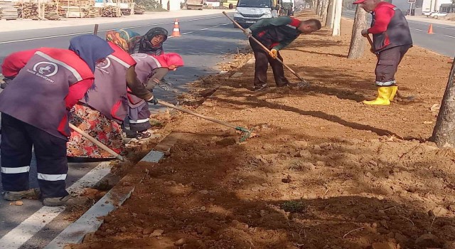 Düzceyi kadınlar güzelleştiriyor