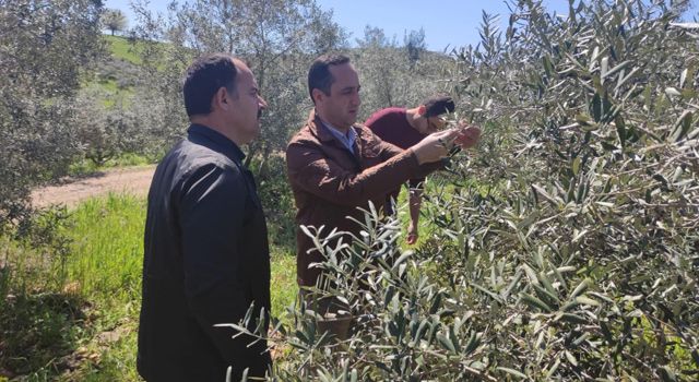 Düziçi’nde Tarım Seferberliği Düzenlenecek