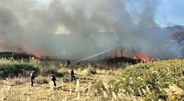 Edremit Ovasında korkutan yangın