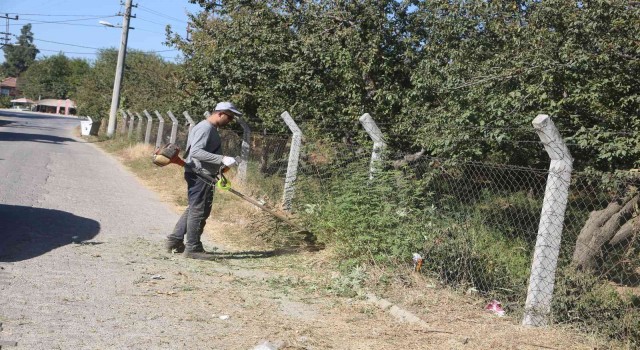 Efelerde yabani ot temizliği