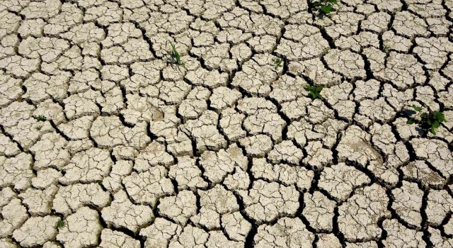 Ege, son 20 yılın en kurak sezonunu yaşıyor