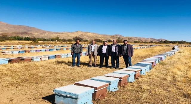 Elazığda arılı kovan denetimleri sürüyor
