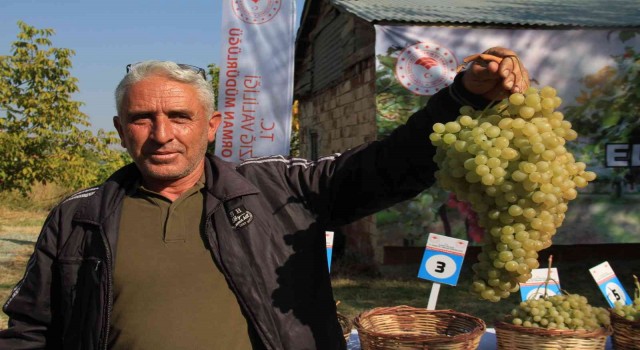 Elazığda bağ bozumu etkinliği