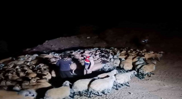 Elazığda jandarma kaybolan hayvanları dron ile buldu
