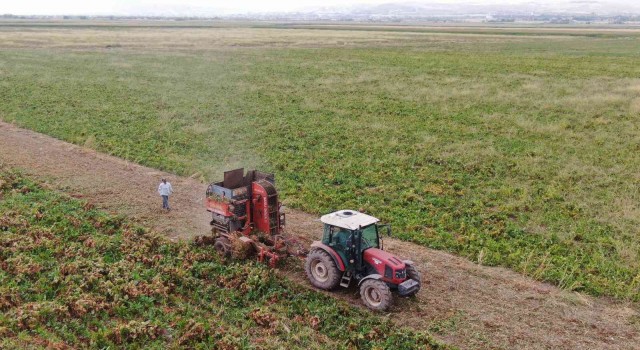 Elazığda şeker pancarı mesaisine başlayan çiftçiler fiyattan memnun