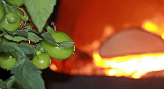 Erzincan, Bayburt, Erzurum ve Ardahan için zirai don uyarısı