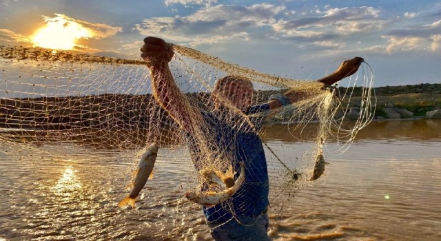 Erzincanda doğal Alabalık avcılığı yasaklandı