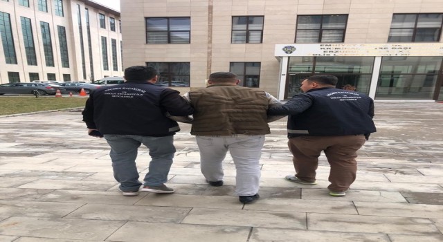 Erzurumda kaçak göçmen operasyonu