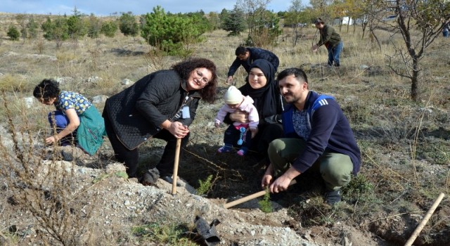 Eskişehirde doğan her bebek için 1 fidan dikildi
