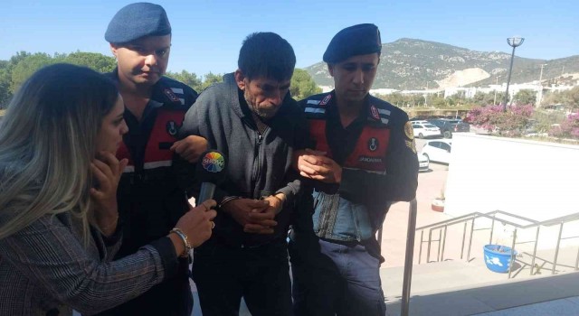 Evinde ölü bulunan Gamzenin ailesinden 5 kişi serbest bırakıldı