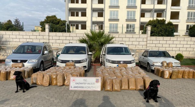 Gaziantepte 1 ton 900 kilo kaçak tütün ele geçirildi