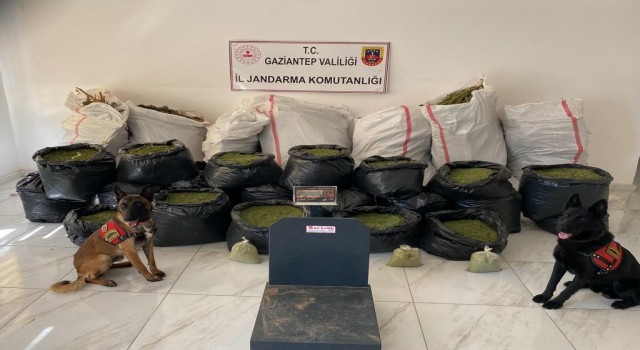 Gaziantepte 462 kilo uyuşturucu madde ele geçirildi