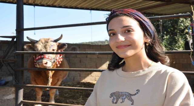 Genç kızın boğa sevgisi şaşırtıyor