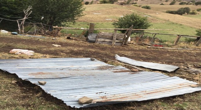Giresunun Alucra ilçesinde etkili olan fırtına çatıları uçurdu