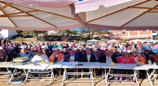 Gördeste Ayva ve Üzüm Festivali yapıldı