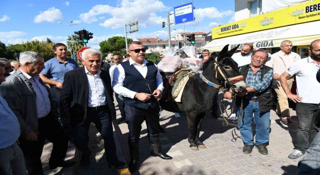 Güreş ağası, 1 milyon 17 bin TL olan ağalık parasını katırla getirdi