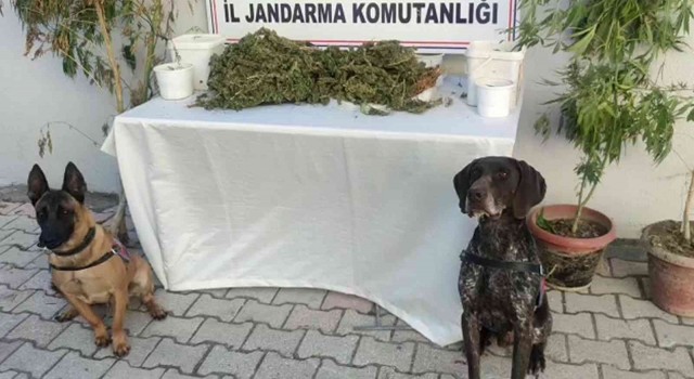 Hatayda 2 kilo 450 gram esrar ele geçirildi