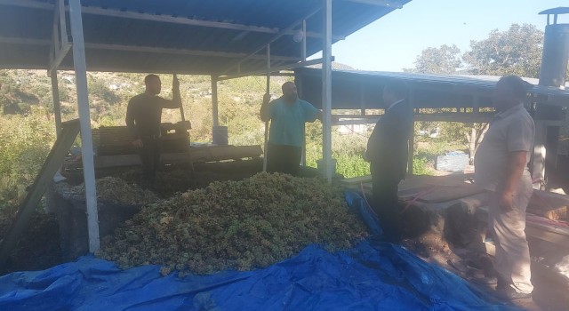 Hatayda üzümler çalpak pekmezine dönüştürüldü