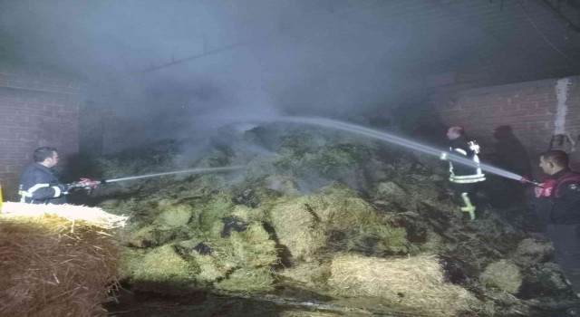 Hayvan damındaki yangın söndürüldü